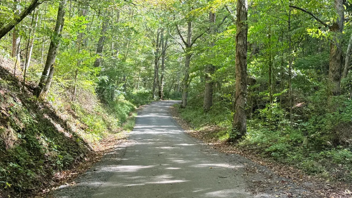 Cedar Branch, Forest Hill, WV 24935 - #1