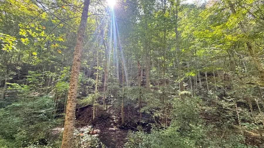 Cedar Branch, Forest Hill, WV 24935 - #2