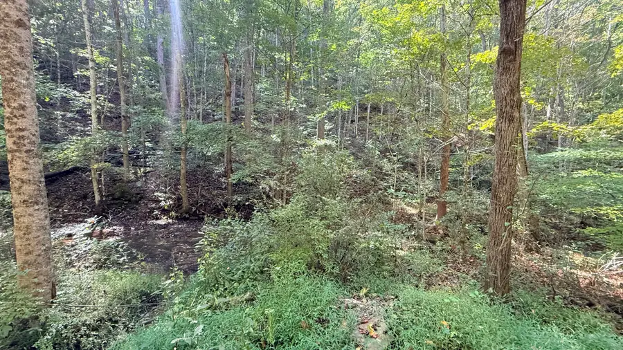 Cedar Branch, Forest Hill, WV 24935 - #3