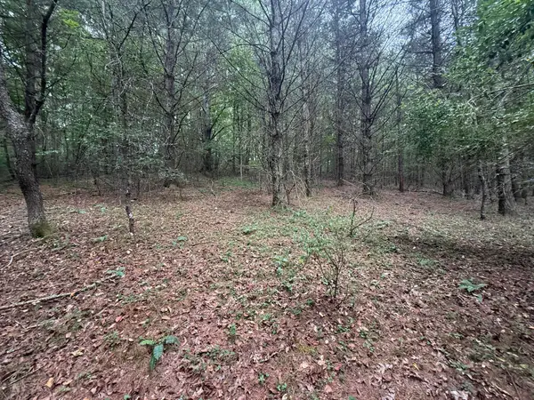 2678 Moncove Lake, Gap Mills, WV 24941