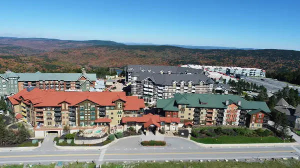 343 Rimfire Lodge, Snowshoe, WV 26209