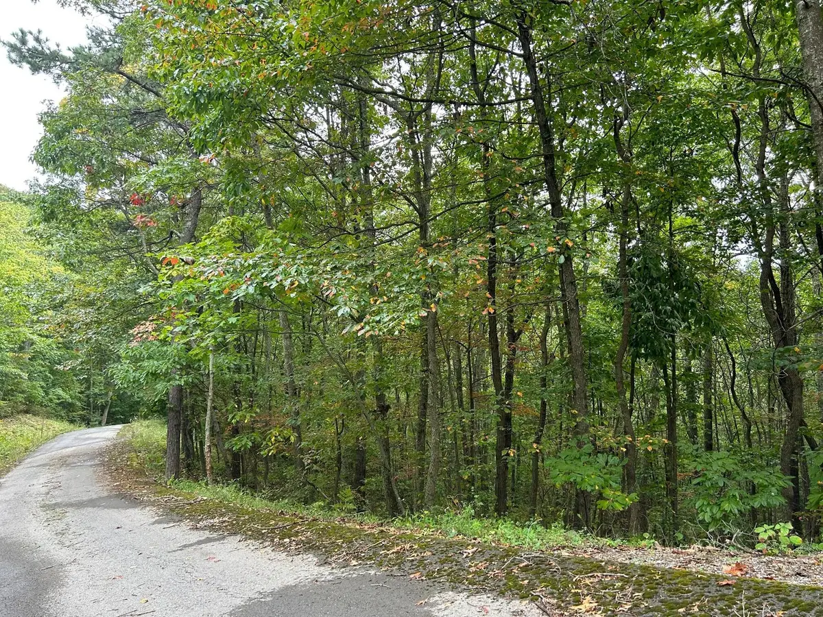 Lot 33 Laurel Lane, The Retreat, Caldwell, WV 24925 - #1