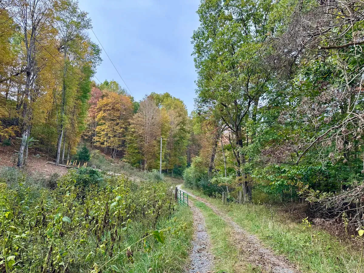 412 Smoke Hollow Rd, Lindside, WV 24951 - #1