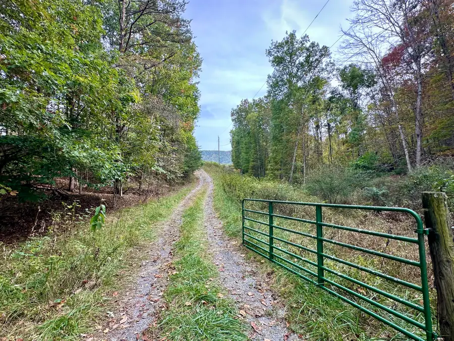 412 Smoke Hollow Rd, Lindside, WV 24951 - #2