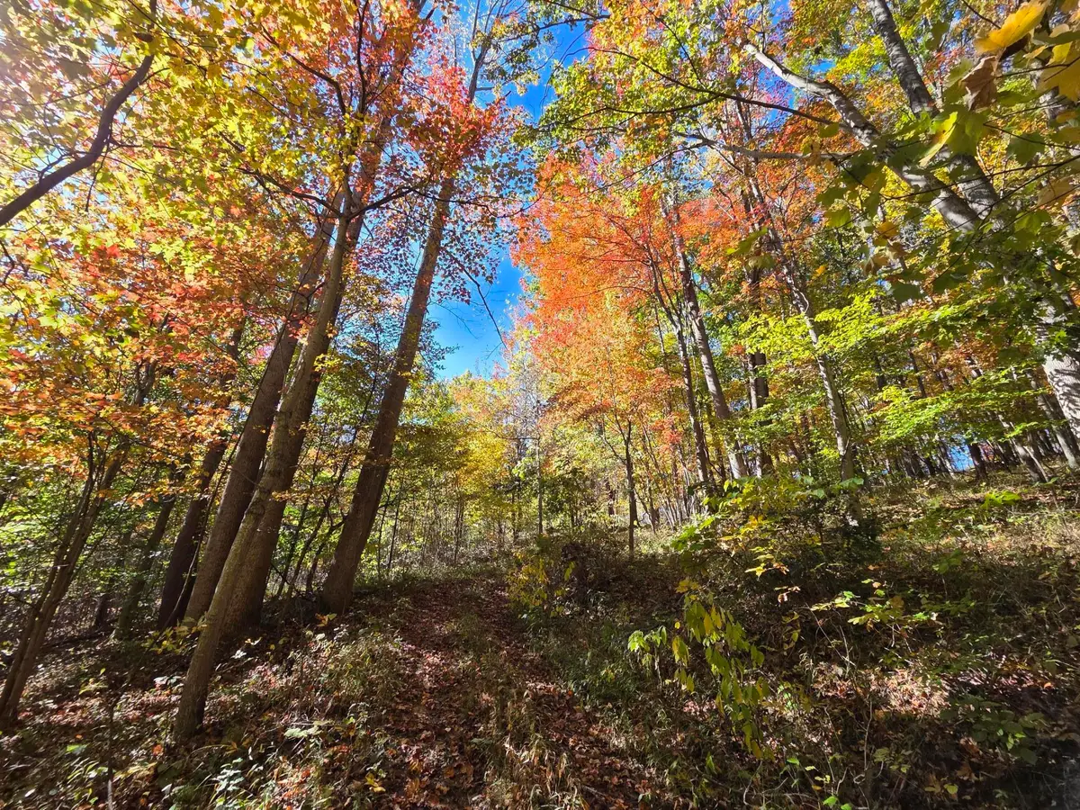 Iris Lane, Peterstown, WV 24963 - #1