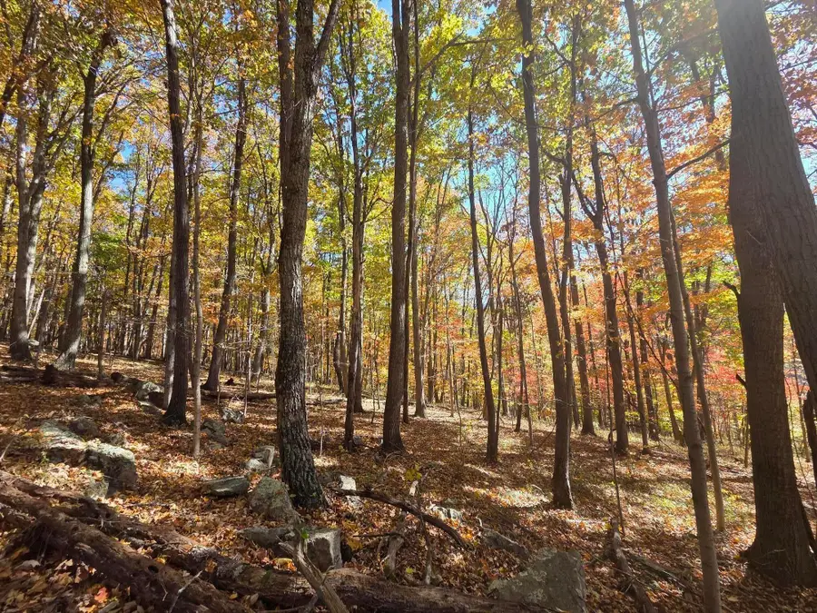 Iris Lane, Peterstown, WV 24963 - #2