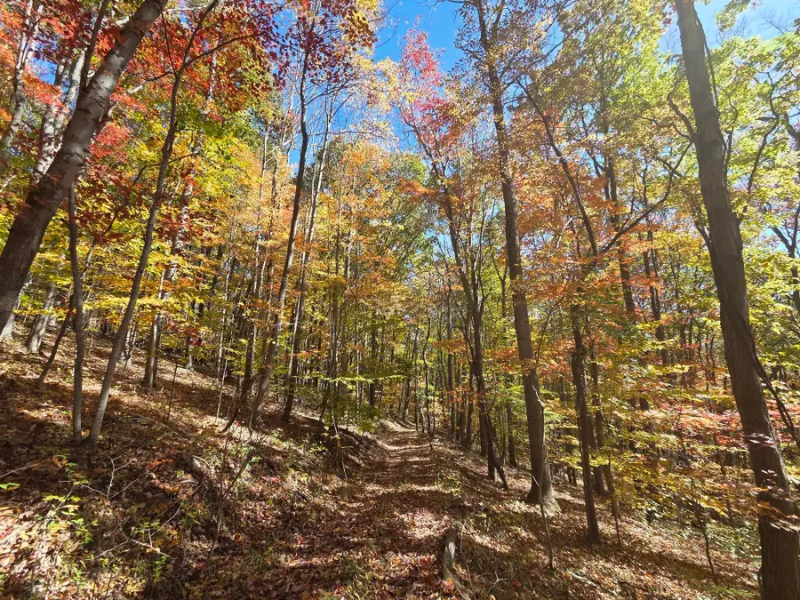 Iris Lane, Peterstown, WV 24963 - #3