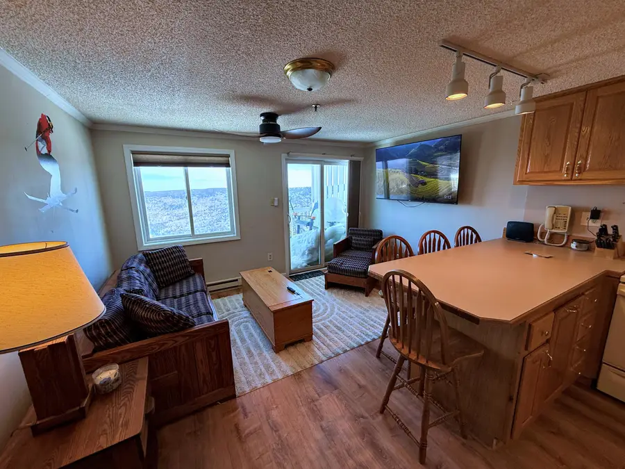 350 Mountain Lodge, Snowshoe, WV 26209 - #2