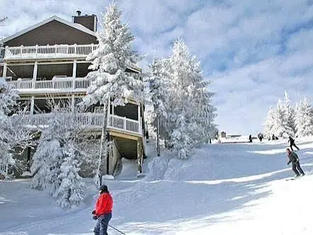 Stemwinder Ii, Snowshoe, WV 26209 - #2