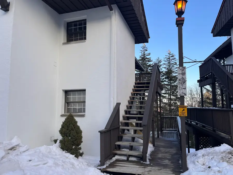26 Whistlepunk Ln, Snowshoe, WV 26209 - #2