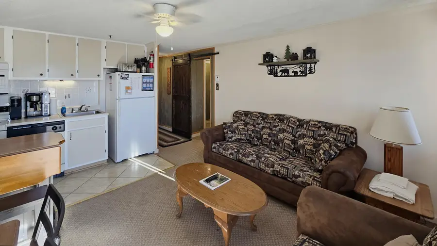 259 Mountain Lodge, Snowshoe, WV 26209 - #3