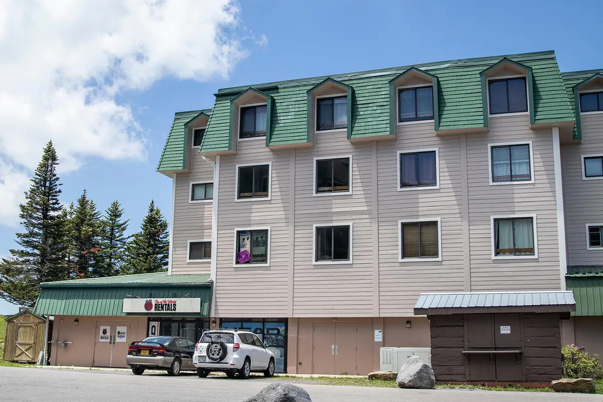 105 Top Of The World Dr, Snowshoe, WV 26209 - #1