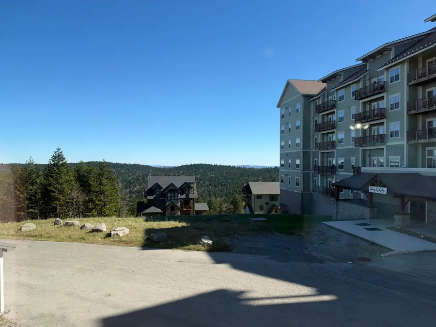 105 Top Of The World Dr, Snowshoe, WV 26209 - #3