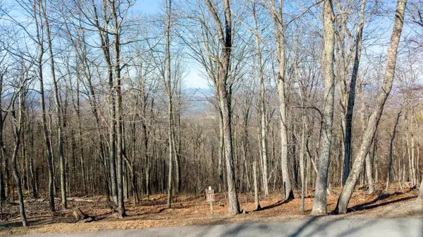 Lot 147 Withrow Landing, Caldwell, WV 24925
