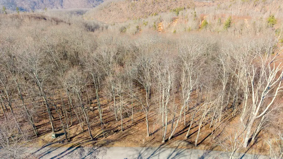 Lot 147 Withrow Landing, Caldwell, WV 24925 - #2