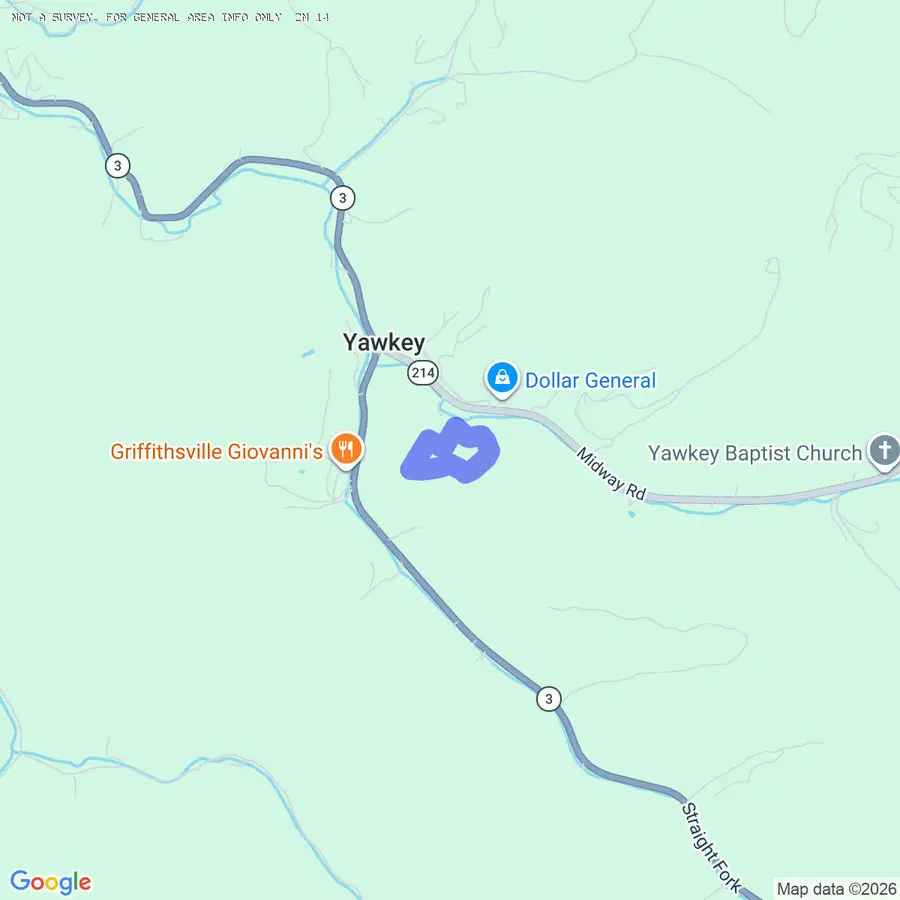 56 Wade Rd, Yawkey, WV 25573 - #2