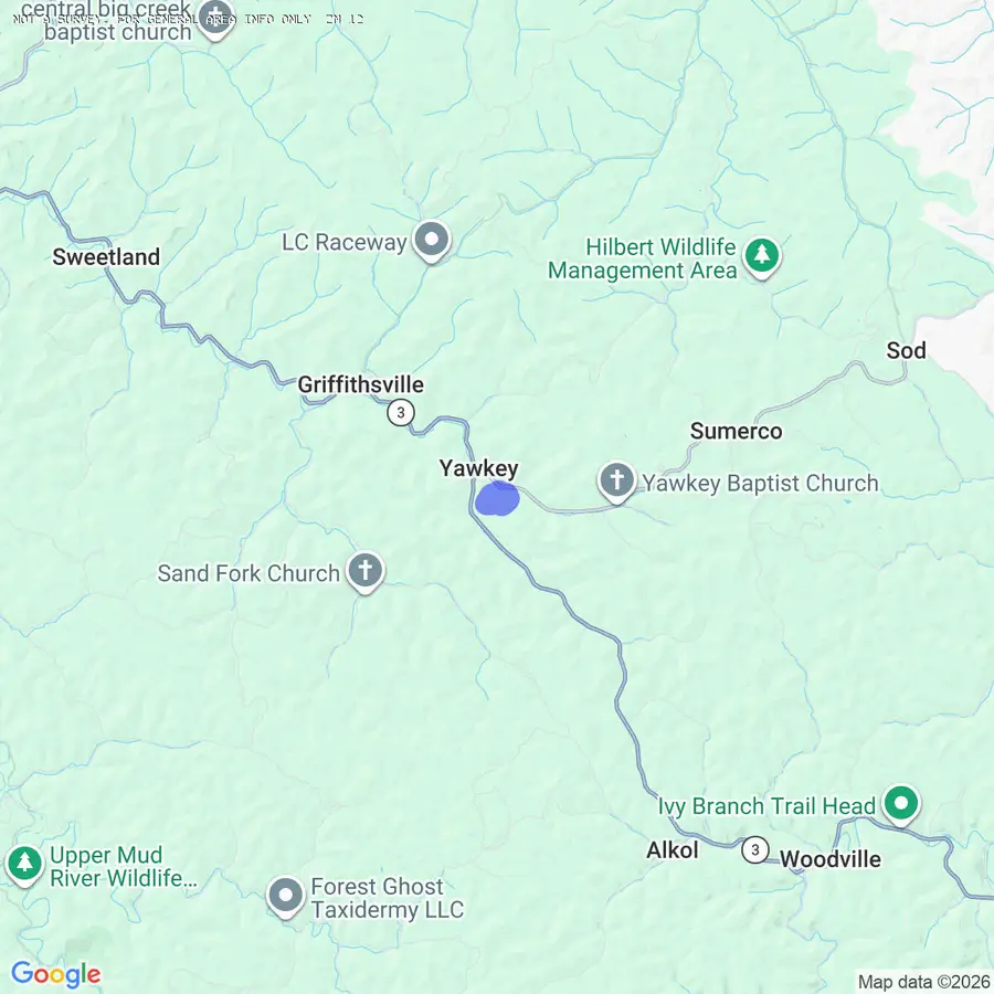 56 Wade Rd, Yawkey, WV 25573 - #3