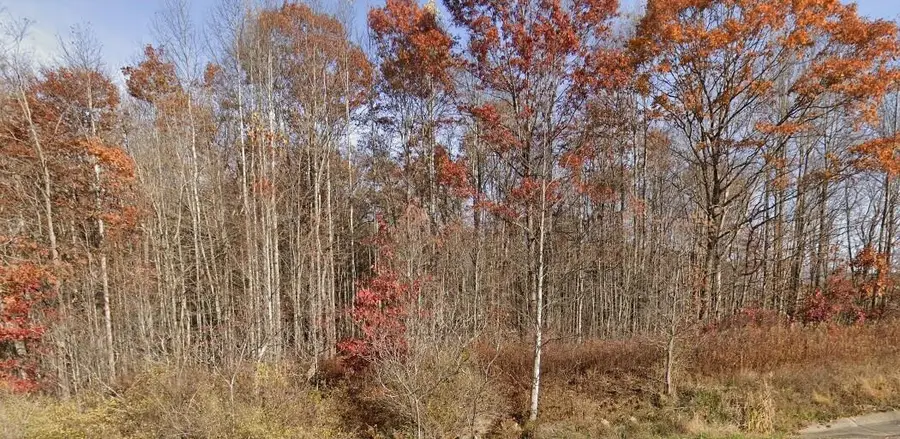 Morris Branch Road, Meadow Bridge, WV 25976 - #3