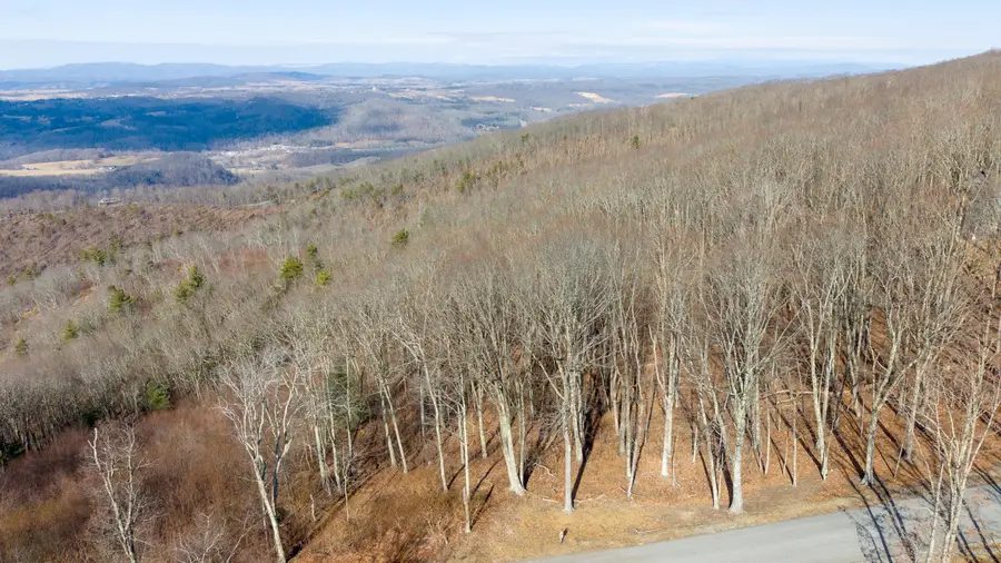 Lot 149 Withrow Landing, Caldwell, WV 24925 - #2