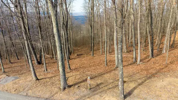 Lot 150 Withrow Landing, Caldwell, WV 24925
