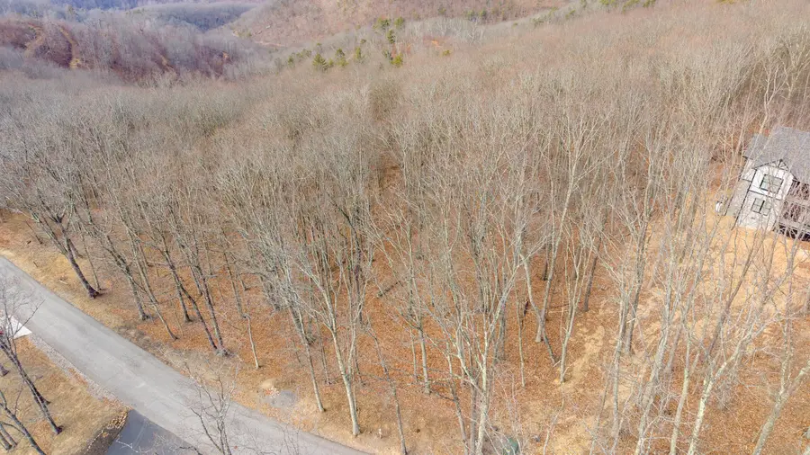 Lot 150 Withrow Landing, Caldwell, WV 24925 - #2