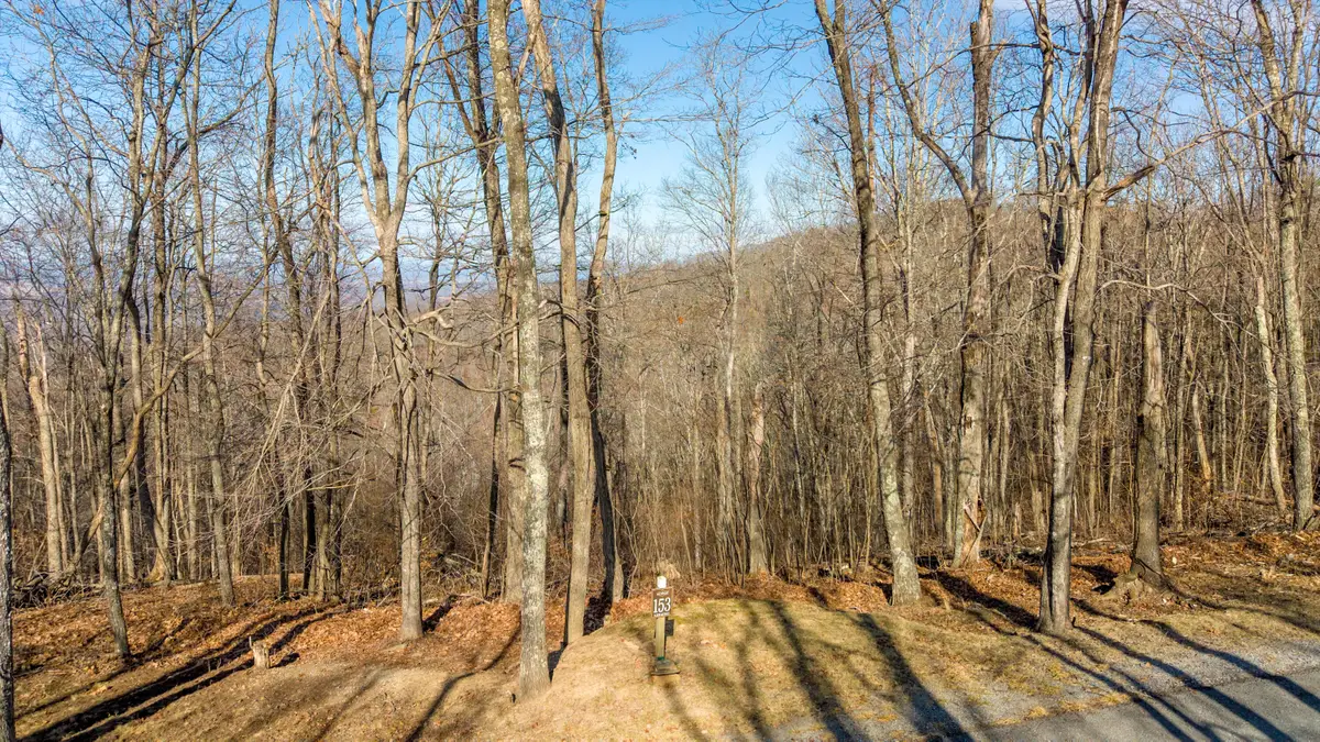 Lot 153 Withrow Landing, Caldwell, WV 24925 - #1