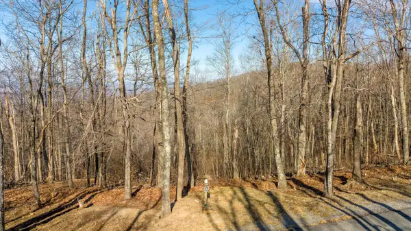 Lot 153 Withrow Landing, Caldwell, WV 24925