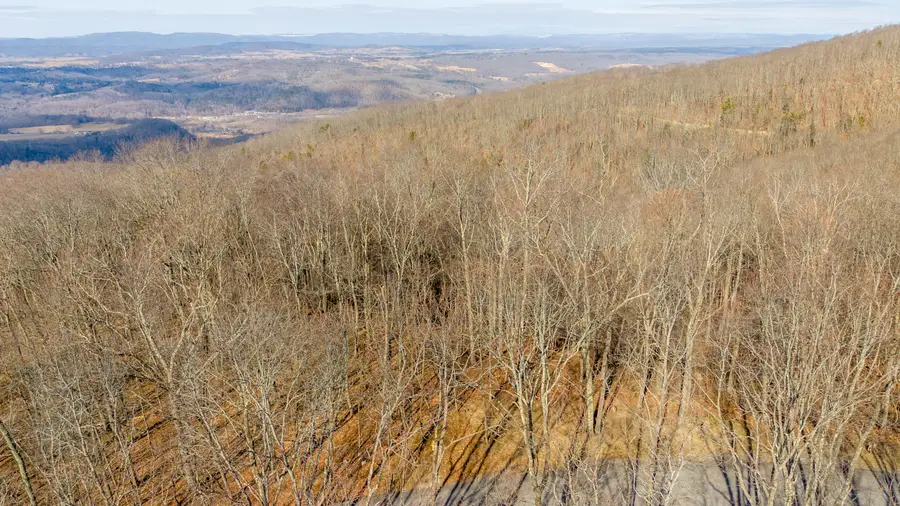 Lot 153 Withrow Landing, Caldwell, WV 24925 - #2