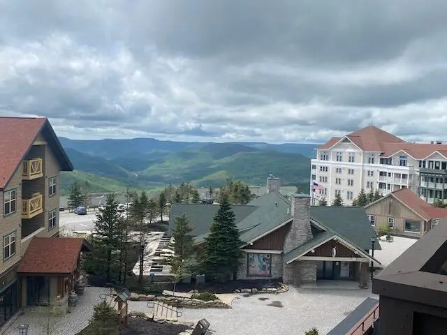 #420 Highland House, Snowshoe, WV 26209 - #2