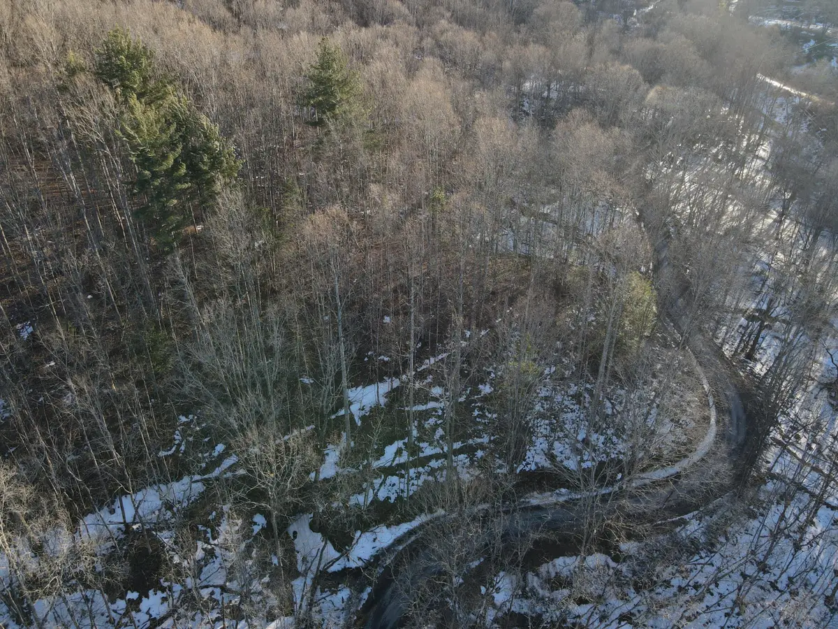 Tbd Leonard Long Rd, Renick, WV 24966 - #1