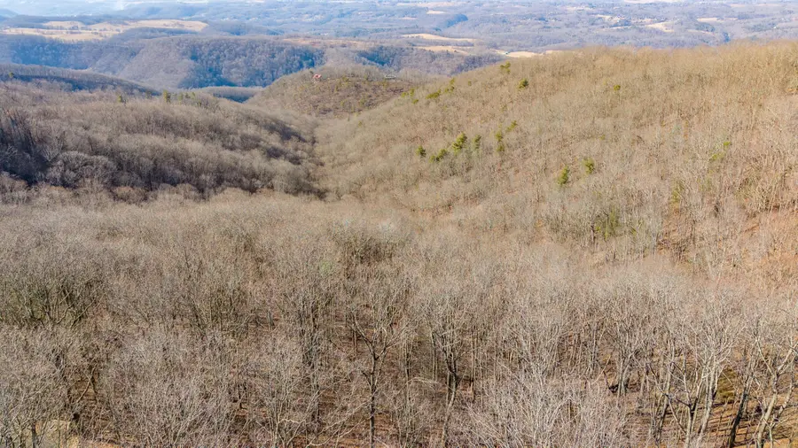 Lot 164 Cottage Row, Caldwell, WV 24925 - #2