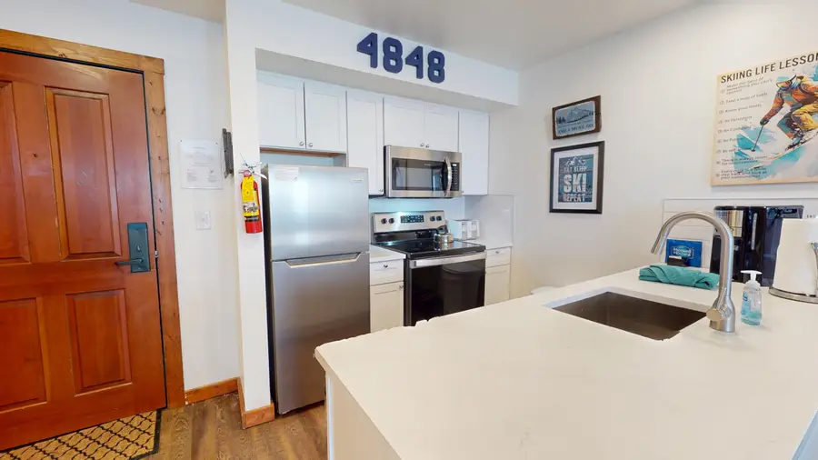 #317 Highland House, Snowshoe, WV 26209 - #2