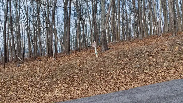 Lot 142 Withrow Landing, Caldwell, WV 24925