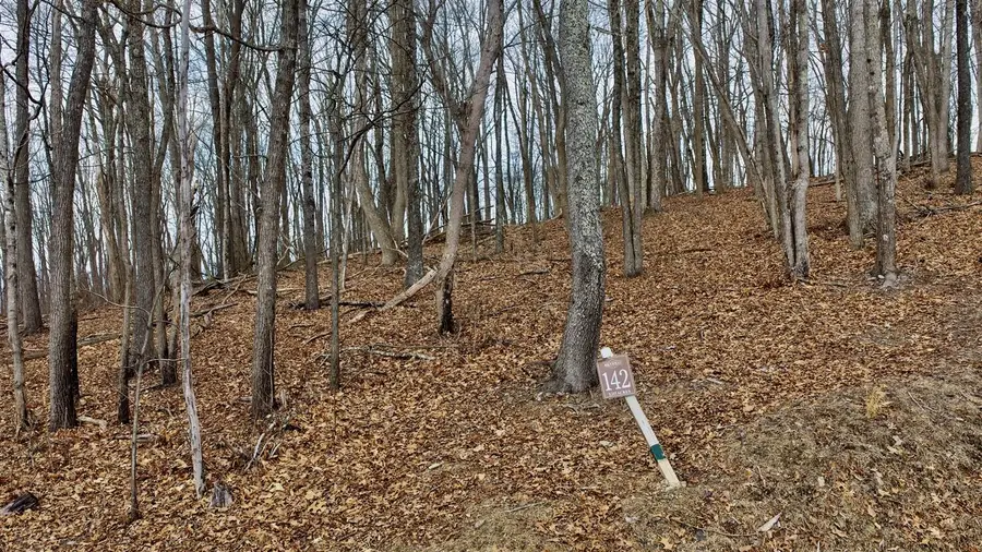 Lot 142 Withrow Landing, Caldwell, WV 24925 - #3