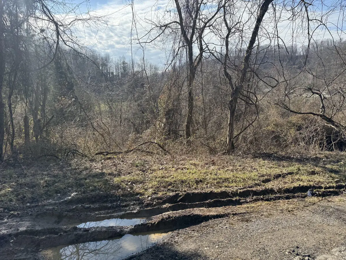 380 Frogs Creek Rd, Charleston, WV 25312 - #1