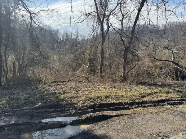 380 Frogs Creek Rd, Charleston, WV 25312