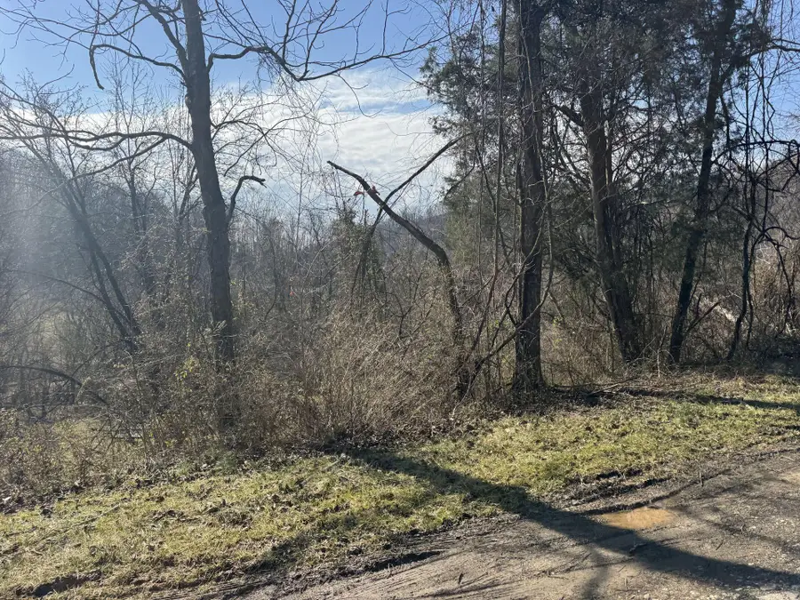 380 Frogs Creek Rd, Charleston, WV 25312 - #2