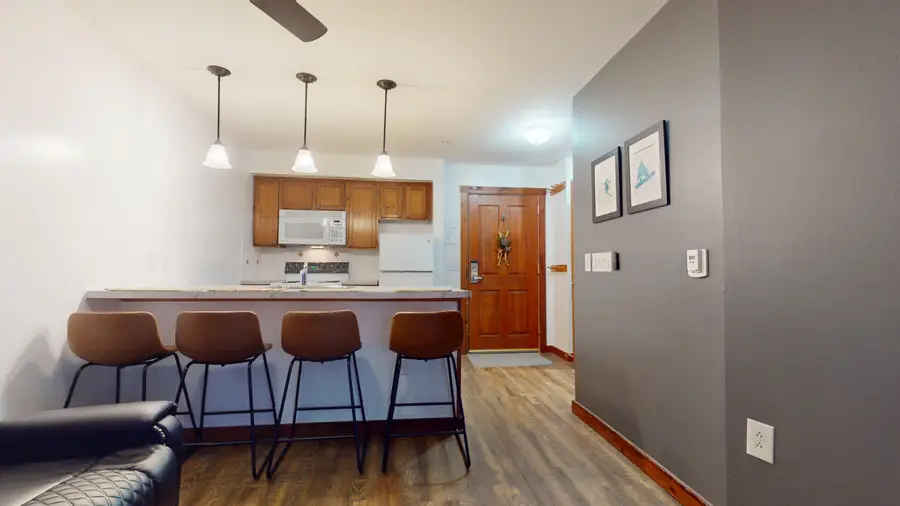 6175 Snowshoe Drive, Snowshoe, WV 26209 - #3