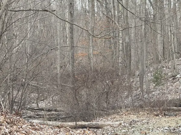 1000 Union St Ext, Bluefield, WV 24701