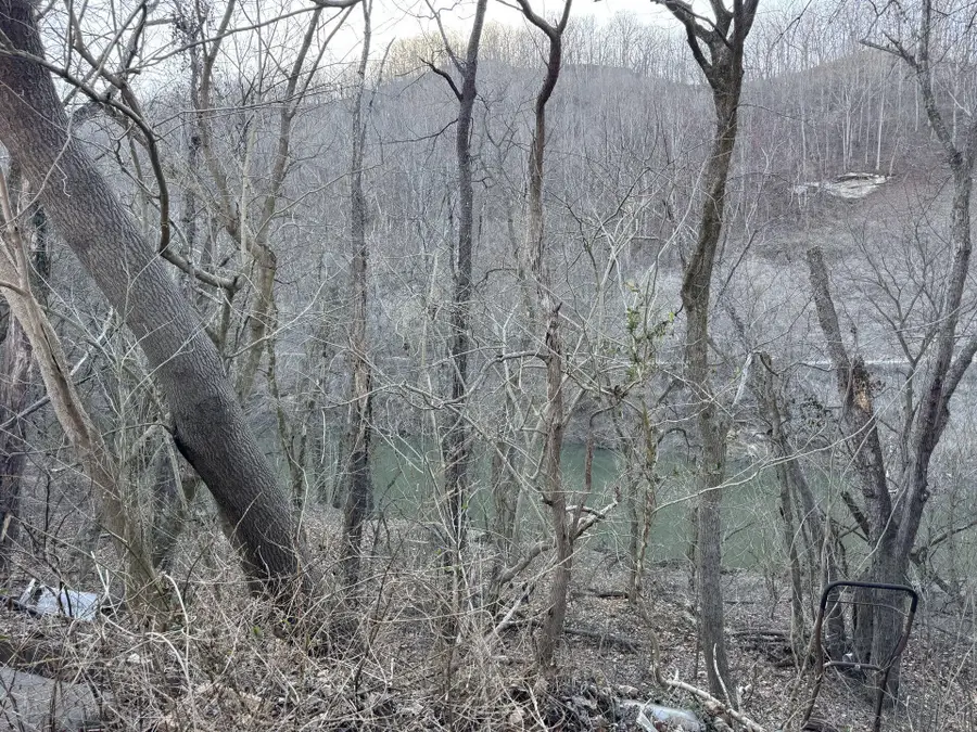 500 Church House Rd, Crum, WV 25669 - #2