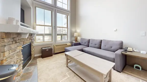 6175 Snowshoe Dr, Snowshoe, WV 26209