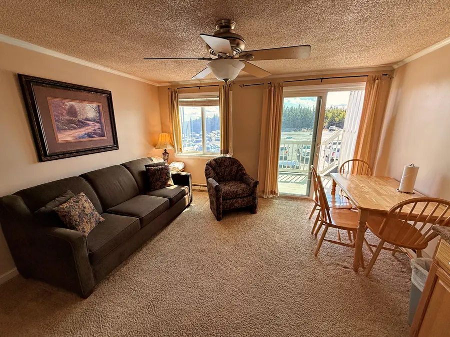 211 Mountain Lodge, Snowshoe, WV 26209 - #3