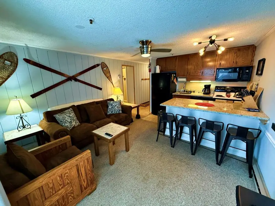 202 Mountain Lodge, Snowshoe, WV 26209 - #2