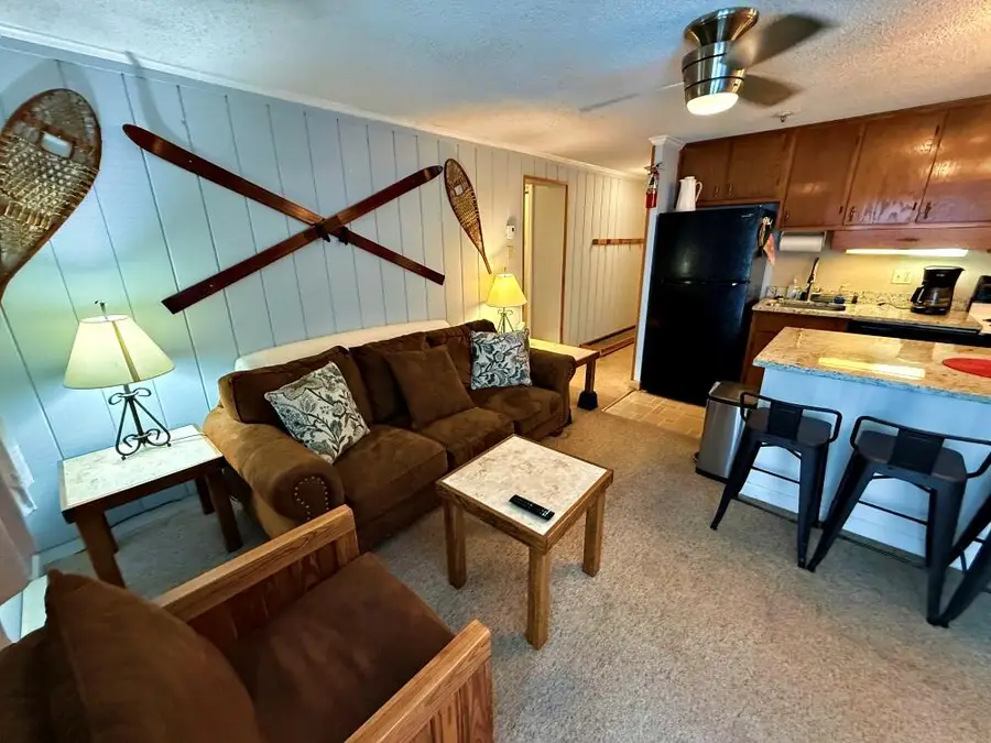 202 Mountain Lodge, Snowshoe, WV 26209 - #3