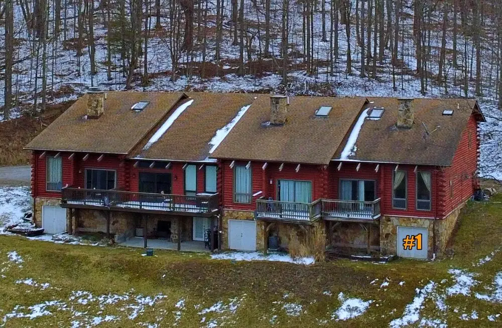 1 Twin Greens, Snowshoe, WV 26209 - #1
