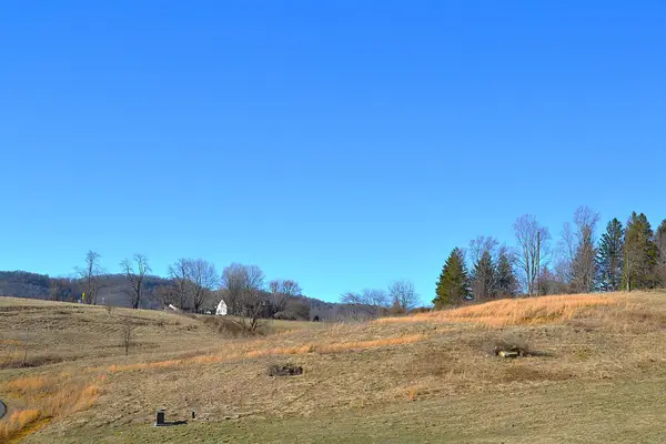 Lot 9 Whisper Estate Dr, Ronceverte, WV 24970