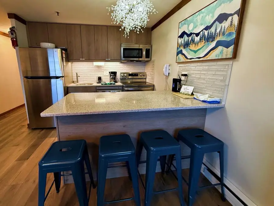 353 Mountain Lodge, Snowshoe, WV 26209 - #2