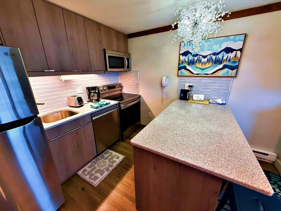 353 Mountain Lodge, Snowshoe, WV 26209 - #3