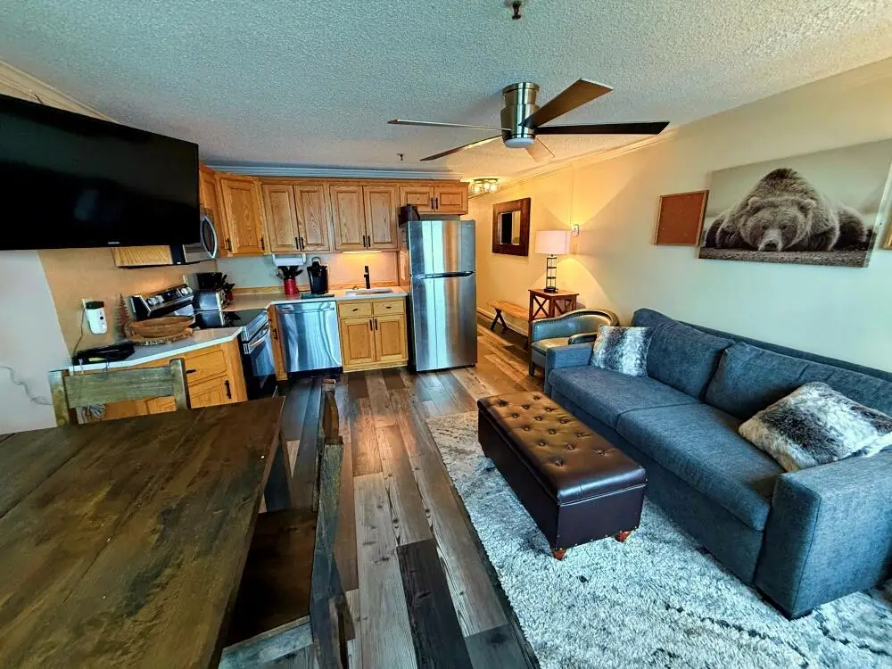 362 Mountain Lodge, Snowshoe, WV 26209 - #1