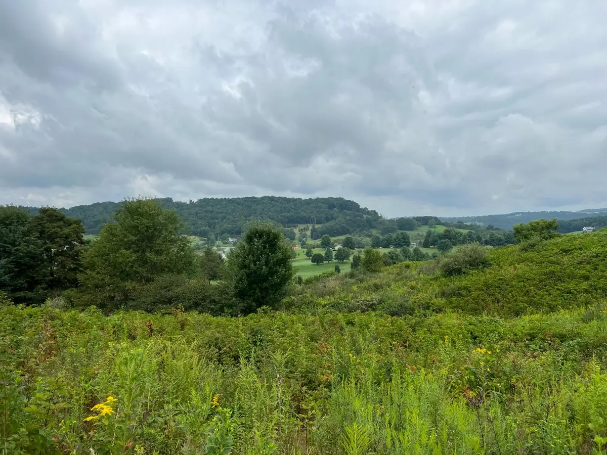 Fairway View Drive, Peterstown, WV 24963 - #1